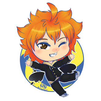 Haikyuu!! Hinata Shoyo